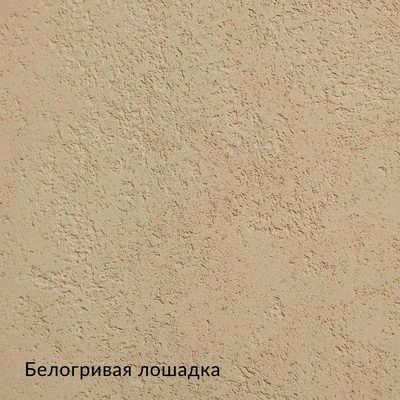 Сан Пьер — 10 образцов, образец 1